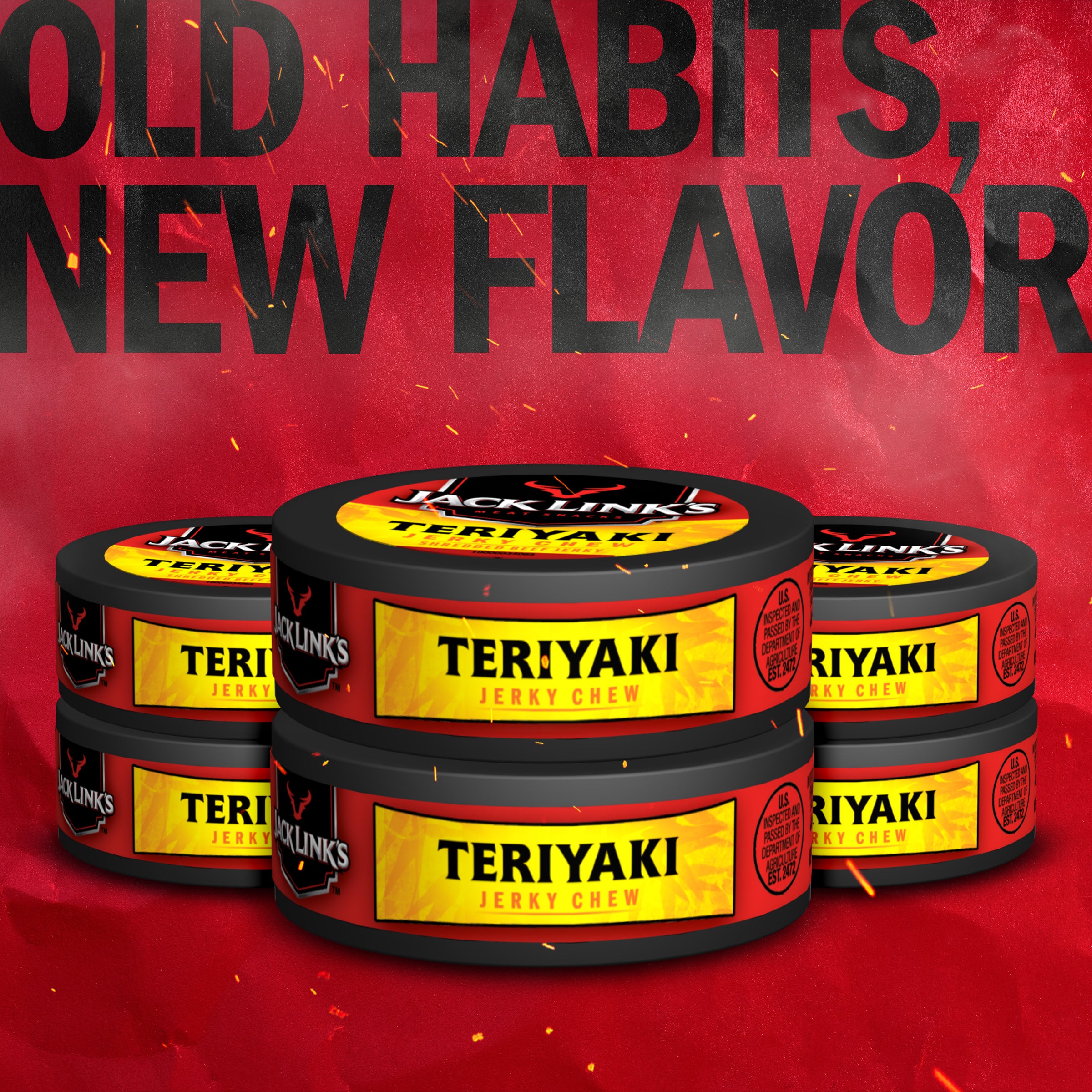 Teriyaki Beef Jerky Chew
