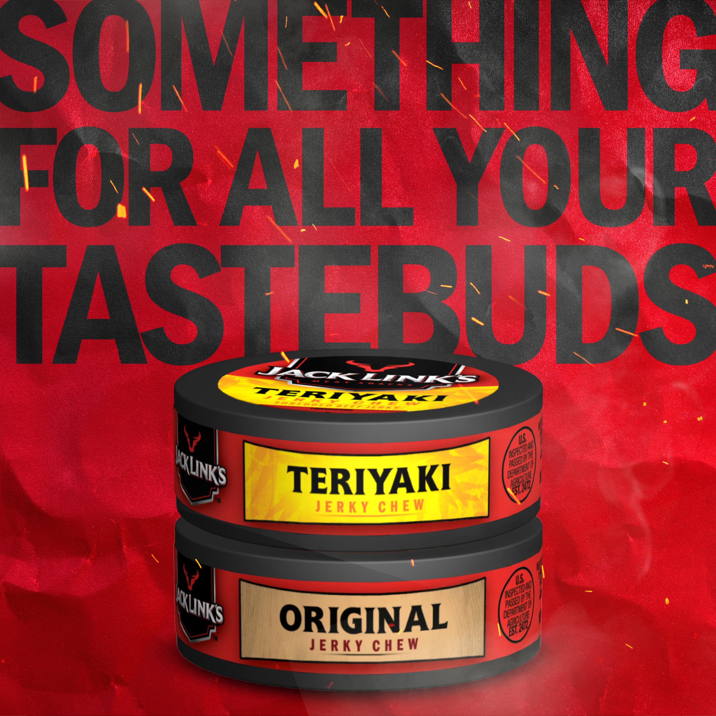 Teriyaki Beef Jerky Chew
