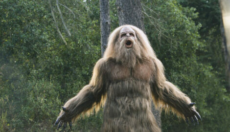 Sasquatch in the woods yelling toward the sky
