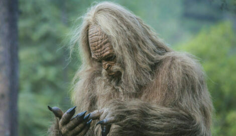 The Best Snacks for Quick Energy