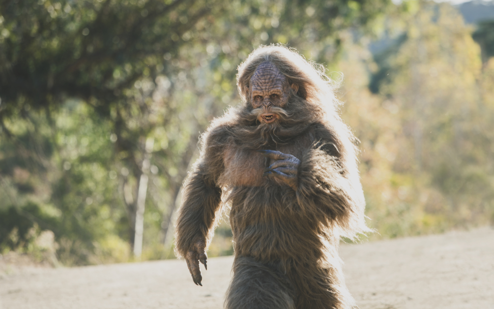 Get the Most Out of Your Workout with a Post Workout Snack