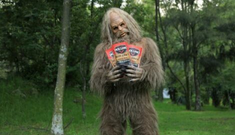 6 Protein Focused Alternatives to Protein Powder