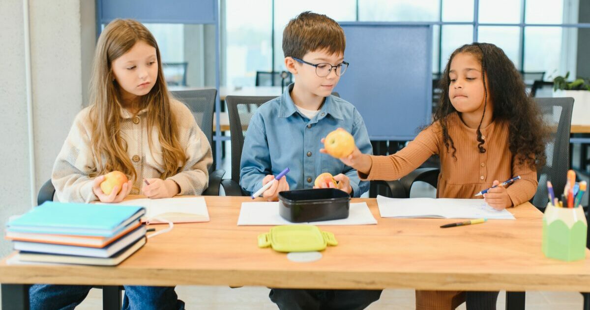 Is Beef Jerky a Good School Snack for Middle Schoolers?